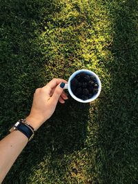 Cropped hand of woman holding cup with blackberries on field