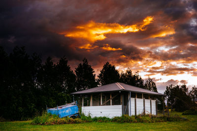 Trees on field against cloudy sky