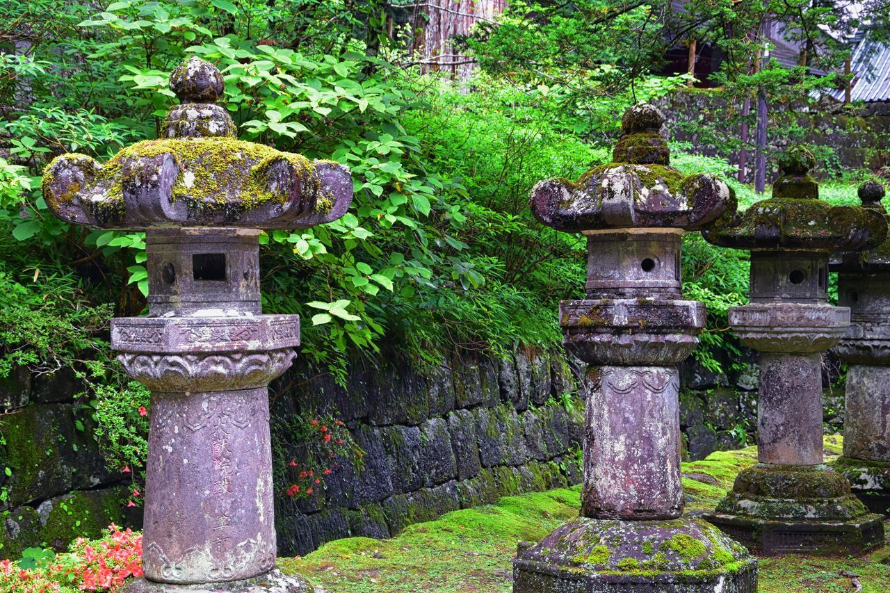 VIEW OF GARDEN IN PARK