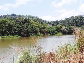 Scenic view of lake against sky