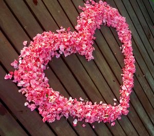High angle view of pink flowering plants on table