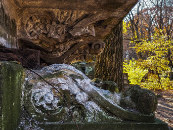 Close-up of sculpture in water