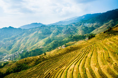 Scenic view of agricultural field against sky