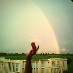 Cropped image of person standing on landscape