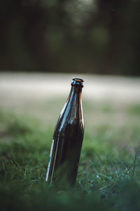 Close-up of horse bottle on field