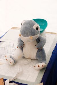 Close-up of stuffed toy