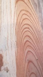 Full frame shot of wooden wall