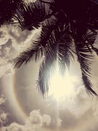 Low angle view of palm tree against sky