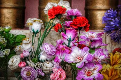 Close-up of multi colored flowers blooming outdoors