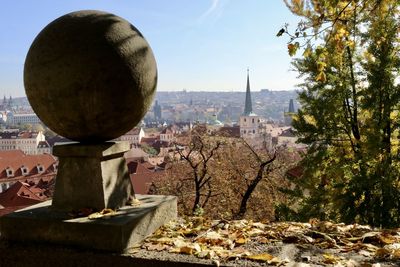 View of trees and buildings in city