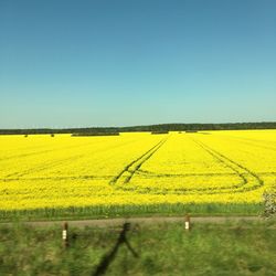 View of fields against clear blue sky