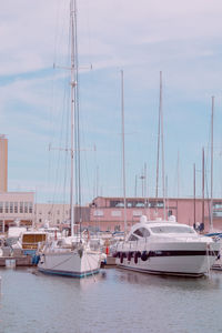 Sailboats moored in harbor