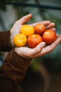 Close-up of hand holding orange