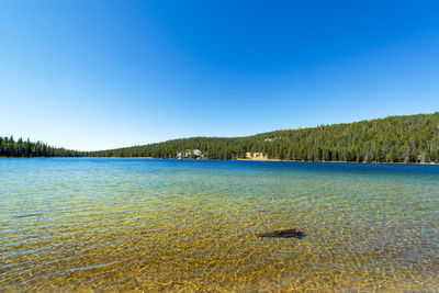 Scenic view of lake against clear blue sky