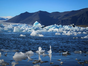 Ducks floating on frozen lake against sky