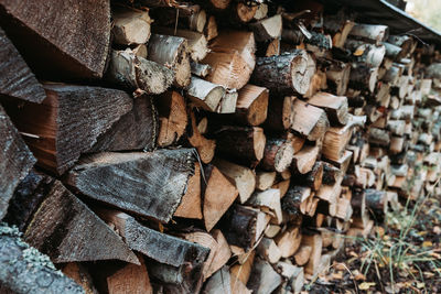 Full frame shot of logs in forest