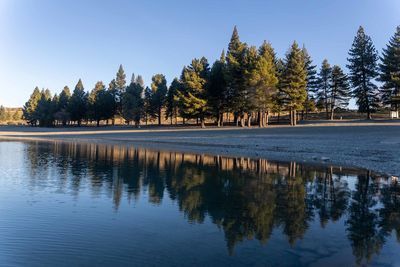 Scenic view of lake by trees against clear sky