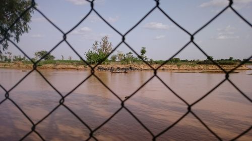 Scenic view of lake seen through chainlink fence