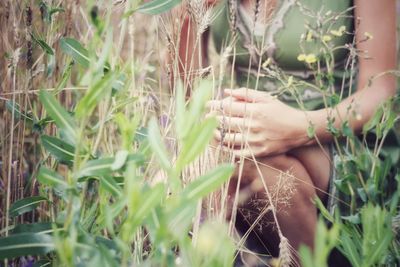 Midsection of woman holding plant in field