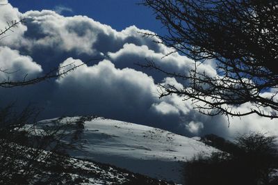Bare trees against cloudy sky