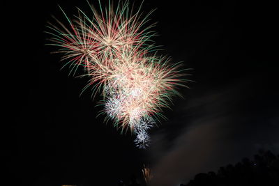 Low angle view of firework display at night