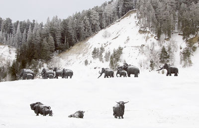 View of people on snow covered land