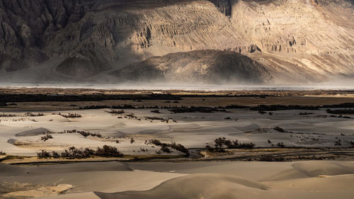 Hunder desert in nubra valley, ladakh, india