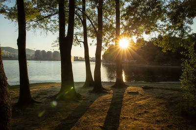 Sunlight streaming through trees on lake during sunset