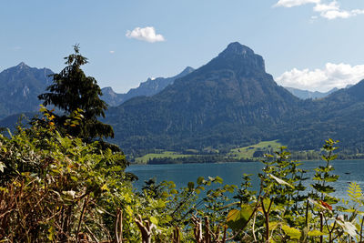 Scenic view of lake and mountains against sky