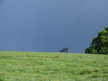 Scenic view of field against clear sky