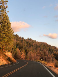 Country road amidst trees against sky