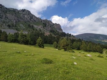 Scenic view of landscape against sky