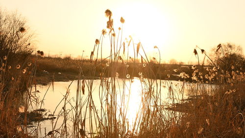 Scenic view of lake against sky during sunset