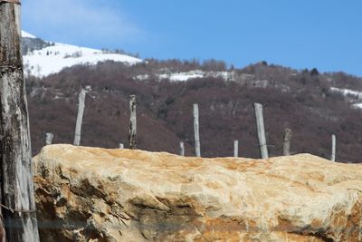 Close-up of landscape against sky