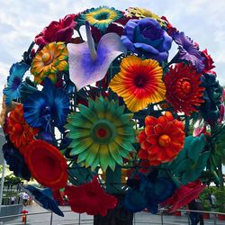 Close-up of multi colored flowers against sky