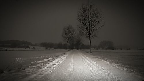 Bare trees by road against sky during winter