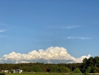 Trees on field against sky