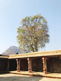 Low angle view of tree by building against clear sky