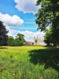 Trees and houses on field against sky