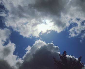 Low angle view of trees against blue sky