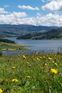 Scenic view of grassy field and mountains against sky