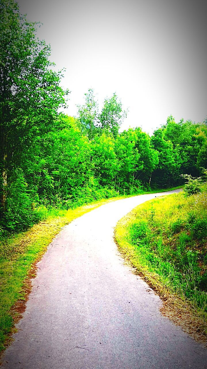 the way forward, clear sky, tree, road, diminishing perspective, vanishing point, grass, tranquility, tranquil scene, transportation, green color, country road, growth, nature, empty road, empty, long, landscape, copy space, plant