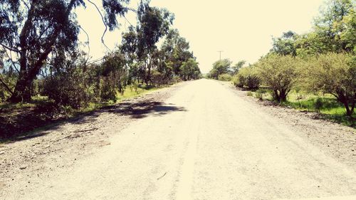 Empty road along trees