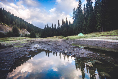 Scenic view of river amidst trees against sky