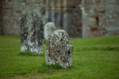 Close-up of cemetery on field