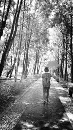 Full length of woman standing on tree trunk