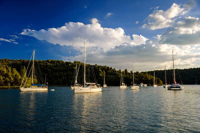 Sailboats sailing in sea against sky