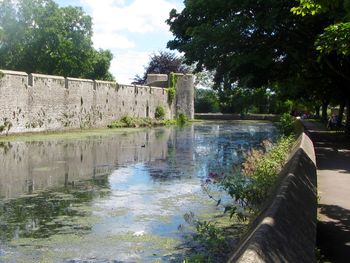 Reflection of trees in canal