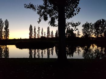 Silhouette trees by lake against sky at sunset