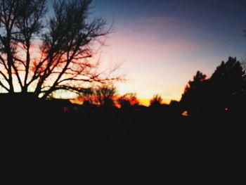 Silhouette trees against sky during sunset